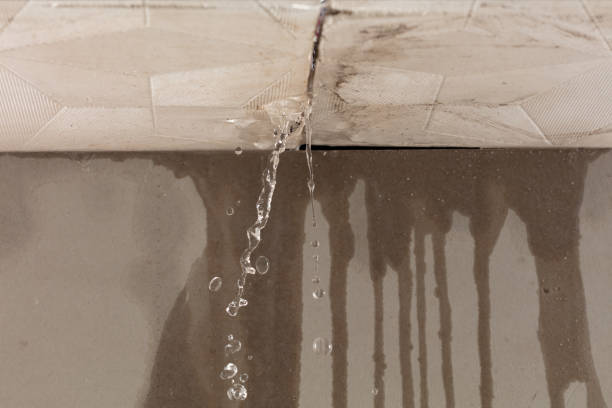 Professional Structural Drying technician working in Falkville, AL
